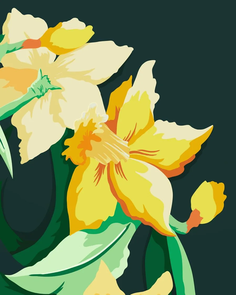 Commercial illustration by Charlotte Chapman, Norfolk